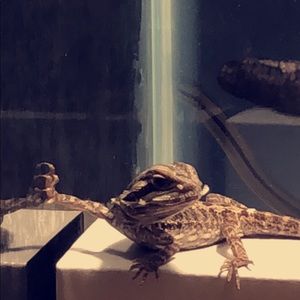 Meet your Posher, Nick